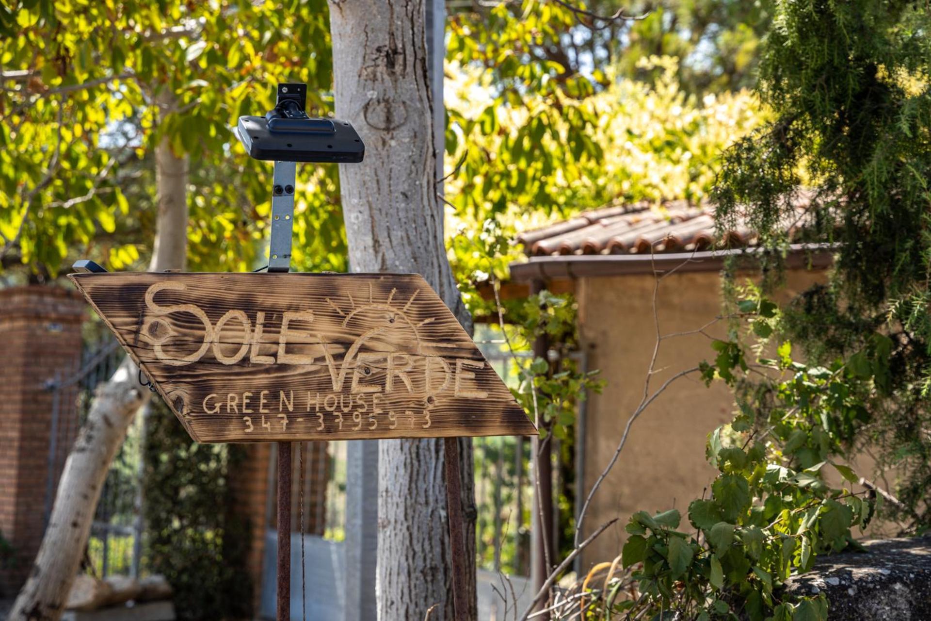 Sole Verde Green House Terricciola Luaran gambar